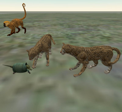 Ocelot04.jpg