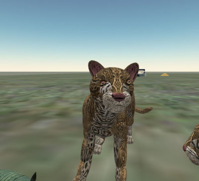 Ruta Maya animals
