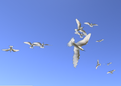 White Terns Flying copy.png
