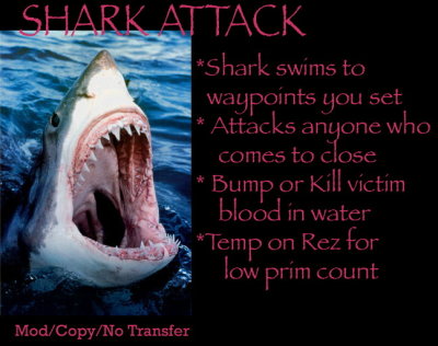 Shark Attack