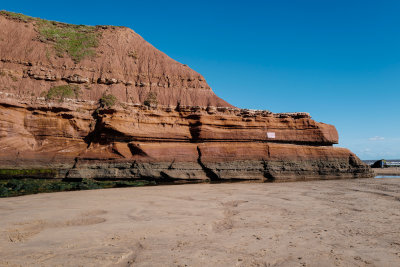 The cliffs at Orcombe Point - Exmouth