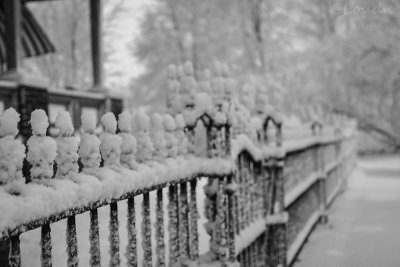 March Snow 2011