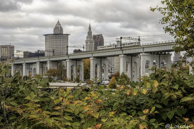 Fall 2020: Cleveland Oh