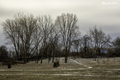 The Park With No Name
