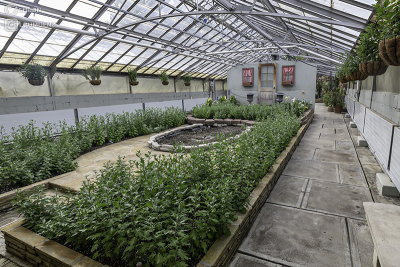 Rockefeller Park Greenhouse
