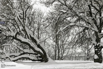 April Cleveland Snowstorm