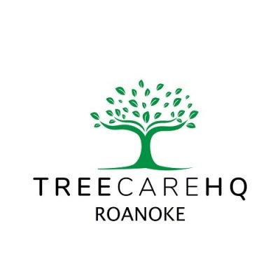 tree service roanoke va