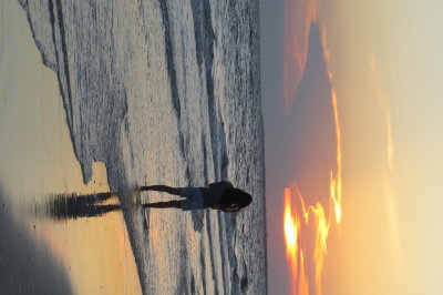 beach walker