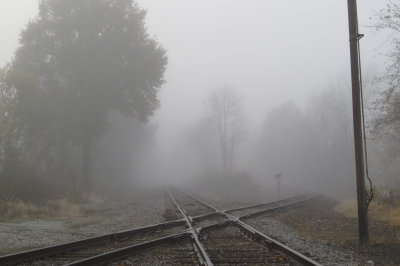 foggy railroad crossing