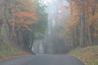 foggy fall drive