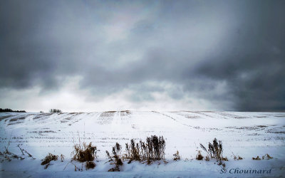 Hiver Abitibien - Abitibian Winter