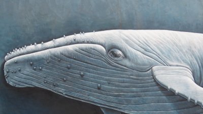 mural whale