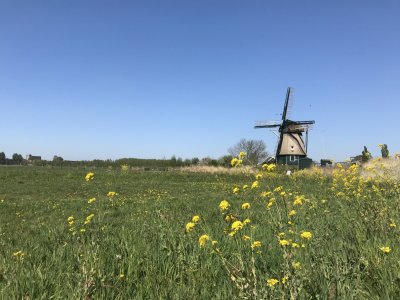 Vijfhuizer Molen