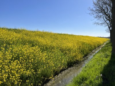 IJMUIDEN - AMSTERDAMSEWEG NOORDZEEKANAAL