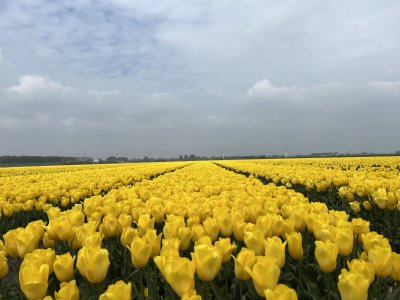 Haarlemmermeer IJweg