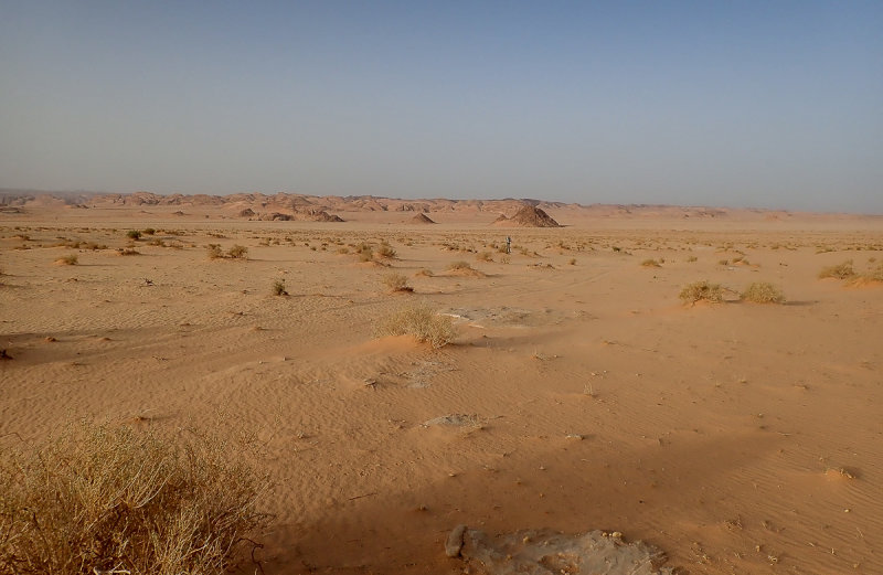 Sand desert