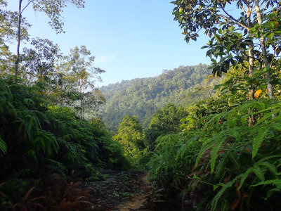 The trail to Way Titias