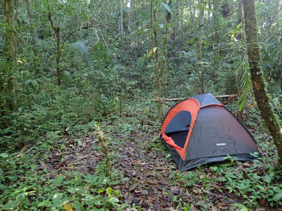 Way Titias camp site