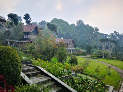 Cibodas Botanical Gardens