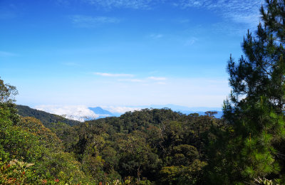 Forested hillsides