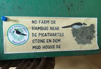 Don't disturb the picathartes!