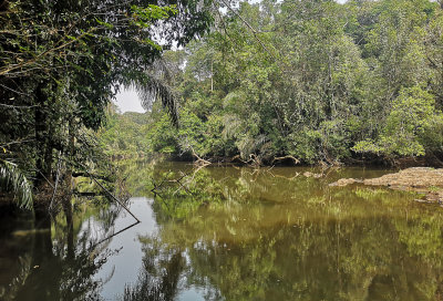 Riverine habitat