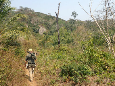 Birding Kumbira Forest Reserve