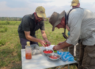 Fixing lunch