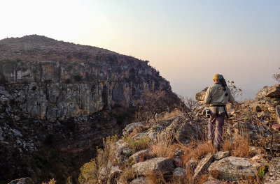 Looking for Swierstra's Spurfowl