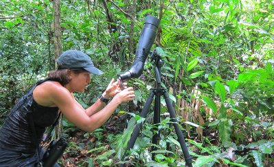 Melissa photograpging the Harpy Eagle through a Zeiss Harpia scope