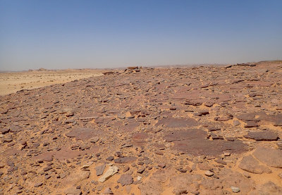 Stone desert