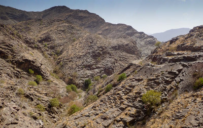 Stony landscape