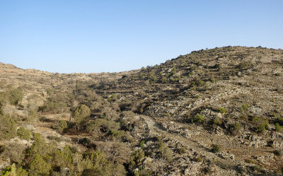Wadi Dahna