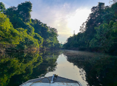 Campos Amazônicos NP