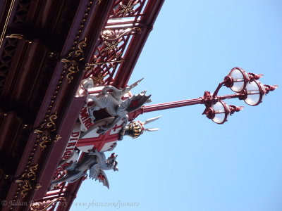 P3058648a.JPG