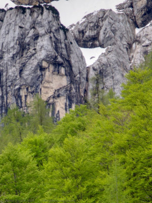 Face in the rock