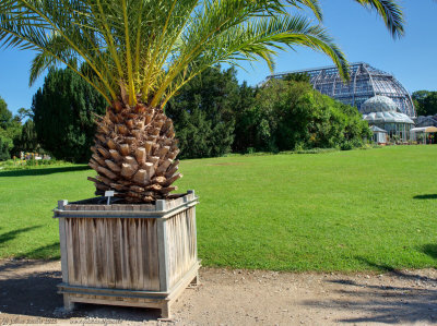 Glasshouses, Botanic Gardens, Steglitz,Berlin