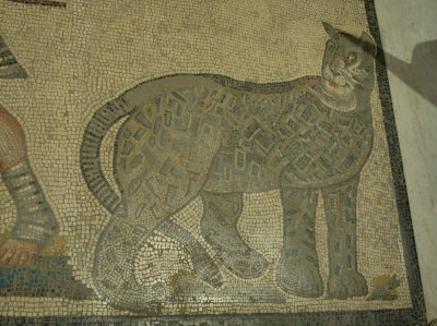 Leopard (part of Gladiator mosaics)