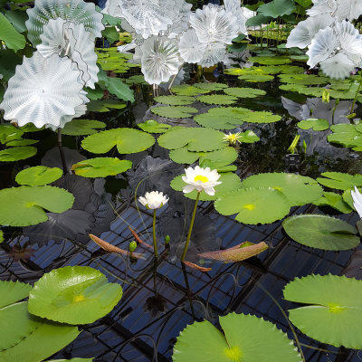 Chihuly - glass scultures