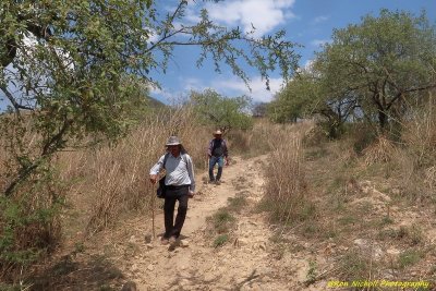 Atemajac_Talpa_15mar2020_5030aa [1024 x 768 y] [800 x 600 Pb].JPG