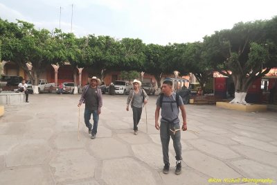 Atemajac_Talpa_15mar2020_5058a [1024 x 768 y] [800 x 600 Pb].JPG