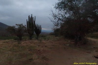 g12/47/150447/3/170551124.oiSewvZU.jpg