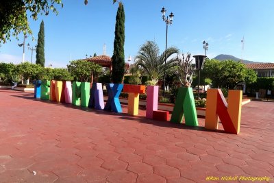 Atemajac_Talpa_16mar2020_6051a [1024 x 768 y] [800 x 600 Pb].JPG