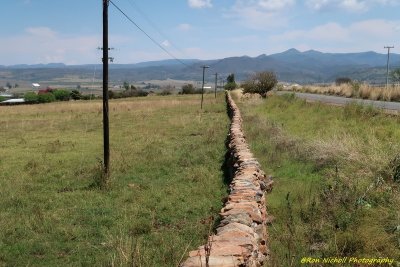 Atemajac_Talpa_16mar2020_6069a [1024 x 768 y] [800 x 600 Pb].JPG