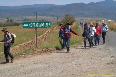 Atemajac_Talpa_16mar2020_6080aa [1024 x 768 y] [800 x 600 Pb].JPG