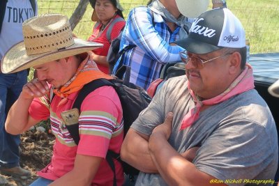 Atemajac_Talpa_16mar2020_6088aa [1024 x 768 y] [800 x 600 Pb].JPG