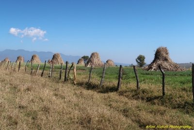 Atemajac_Talpa_17mar2020_7058a [1024 x 768 y] [800 x 600 Pb].JPG