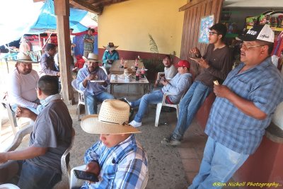 Atemajac_Talpa_18mar2020_0879a [1024 x 768 y] [800 x 600 Pb].JPG