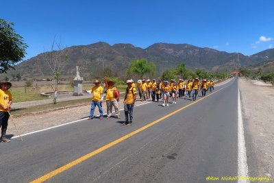 Atemajac_Talpa_18mar2020_0924aa [1024 x 768 y] [800 x 600 Pb].JPG