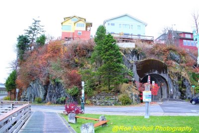 Ketchikan_Nov2020_0244 [1024x768].JPG